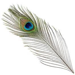 Peacock Eyes - Two pieces cena za 2 szt