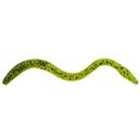Drennan gumy Lob Worm E-SOX Chartreuse c.za 1szt Chartreuse