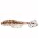 WingShad 8,5cm Relax 007